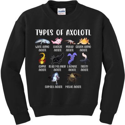 Types Of Axolotl Art Cute Different Species Of Axolotl Kids Sweatshirt