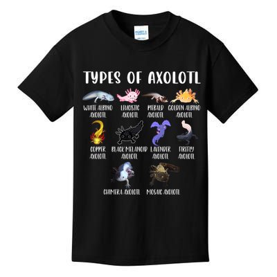 Types Of Axolotl Art Cute Different Species Of Axolotl Kids T-Shirt