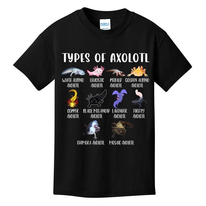 Types Of Axolotl Art Cute Different Species Of Axolotl Kids T-Shirt