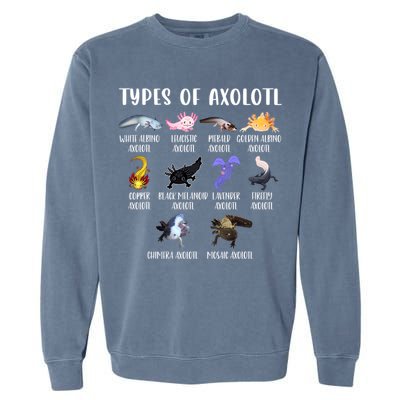 Types Of Axolotl Art Cute Different Species Of Axolotl Garment-Dyed Sweatshirt