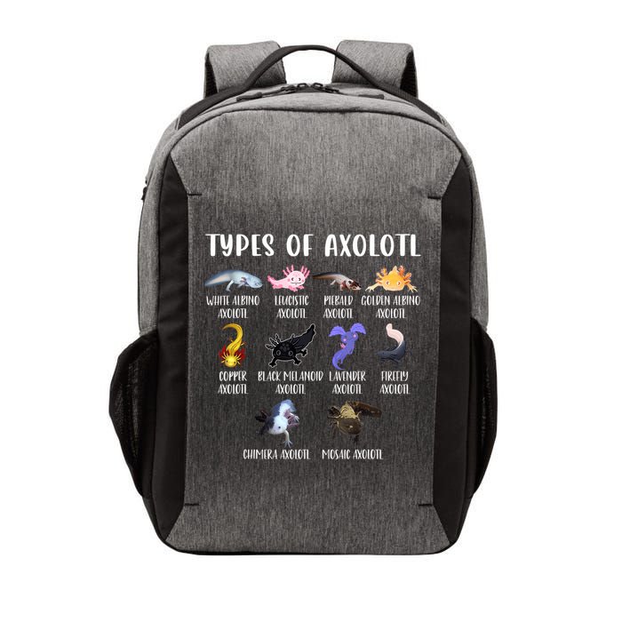 Types Of Axolotl Art Cute Different Species Of Axolotl Vector Backpack