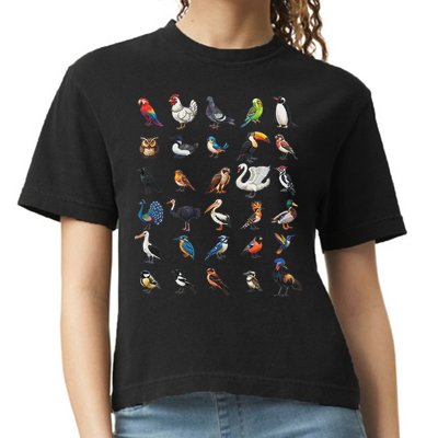 Types Of Birds Educational Comfort Colors Boxy T-Shirt