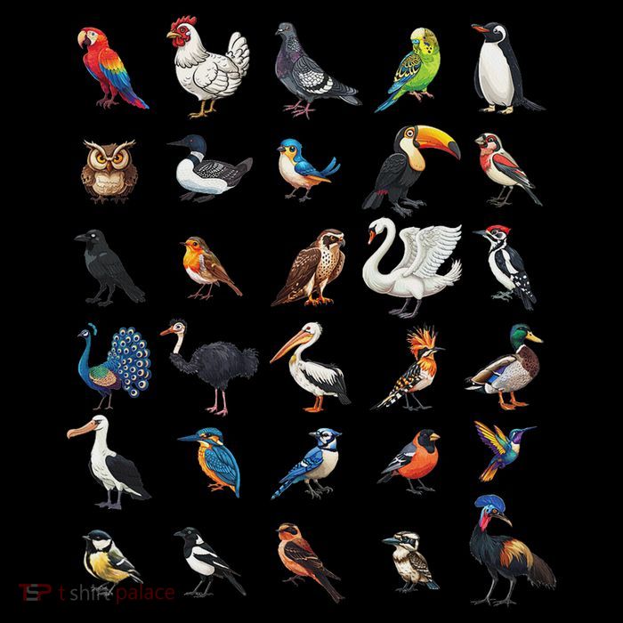 Types Of Birds Educational Performance Shirt