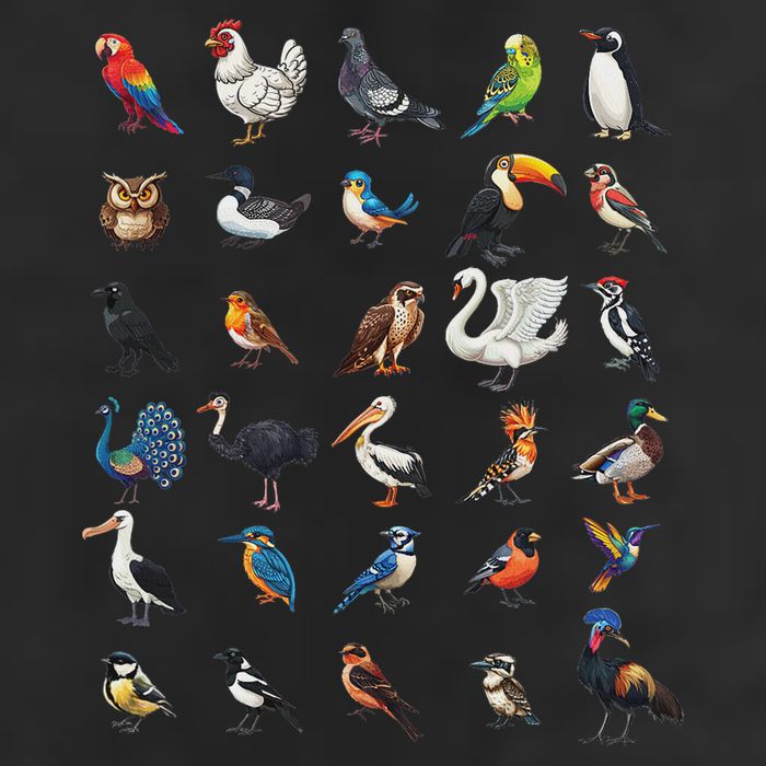 Types Of Birds Educational Tumbler