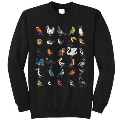 Types Of Birds Educational Tall Sweatshirt