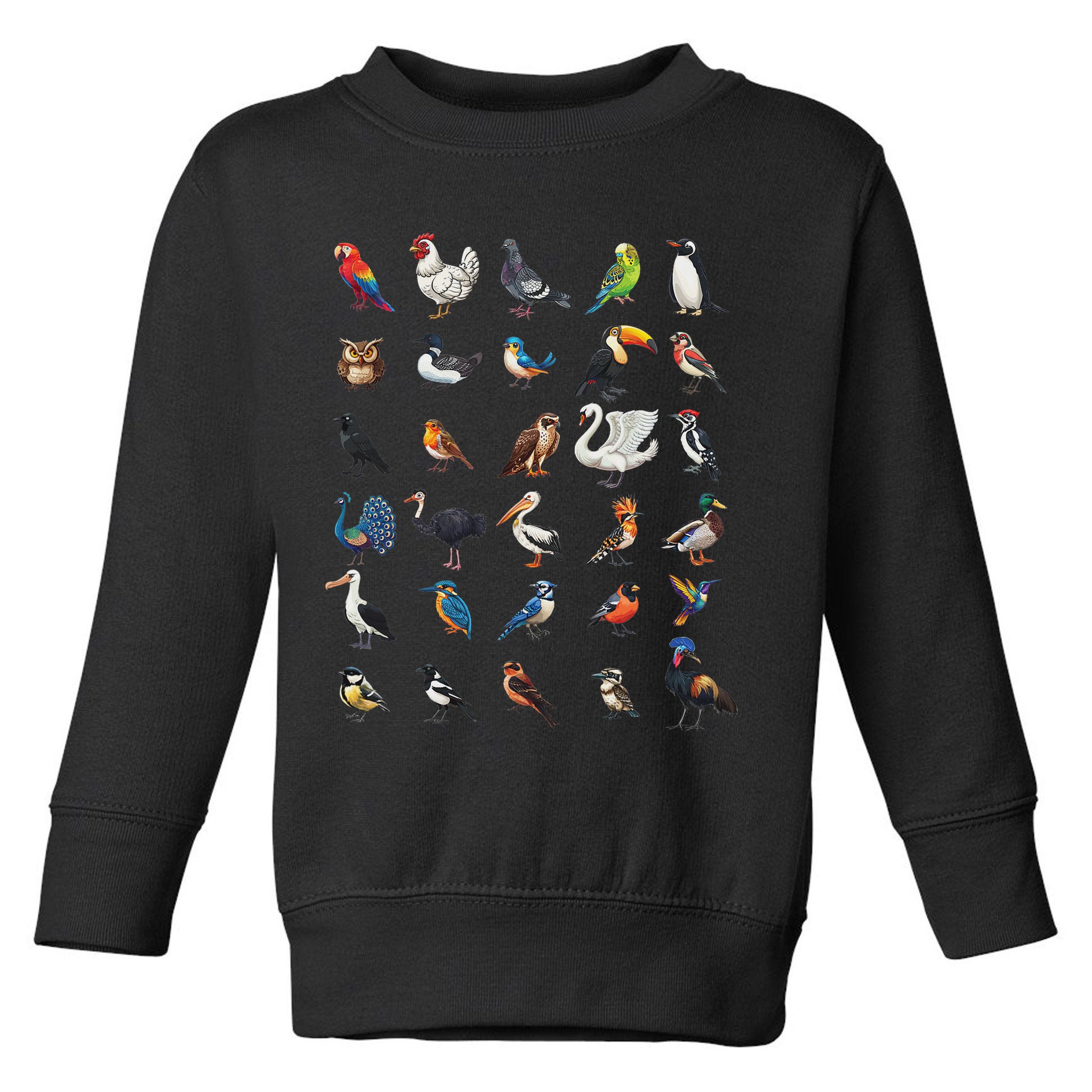 Types Of Birds Educational Toddler Sweatshirt