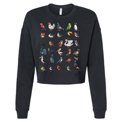 Types Of Birds Educational Cropped Pullover Crew