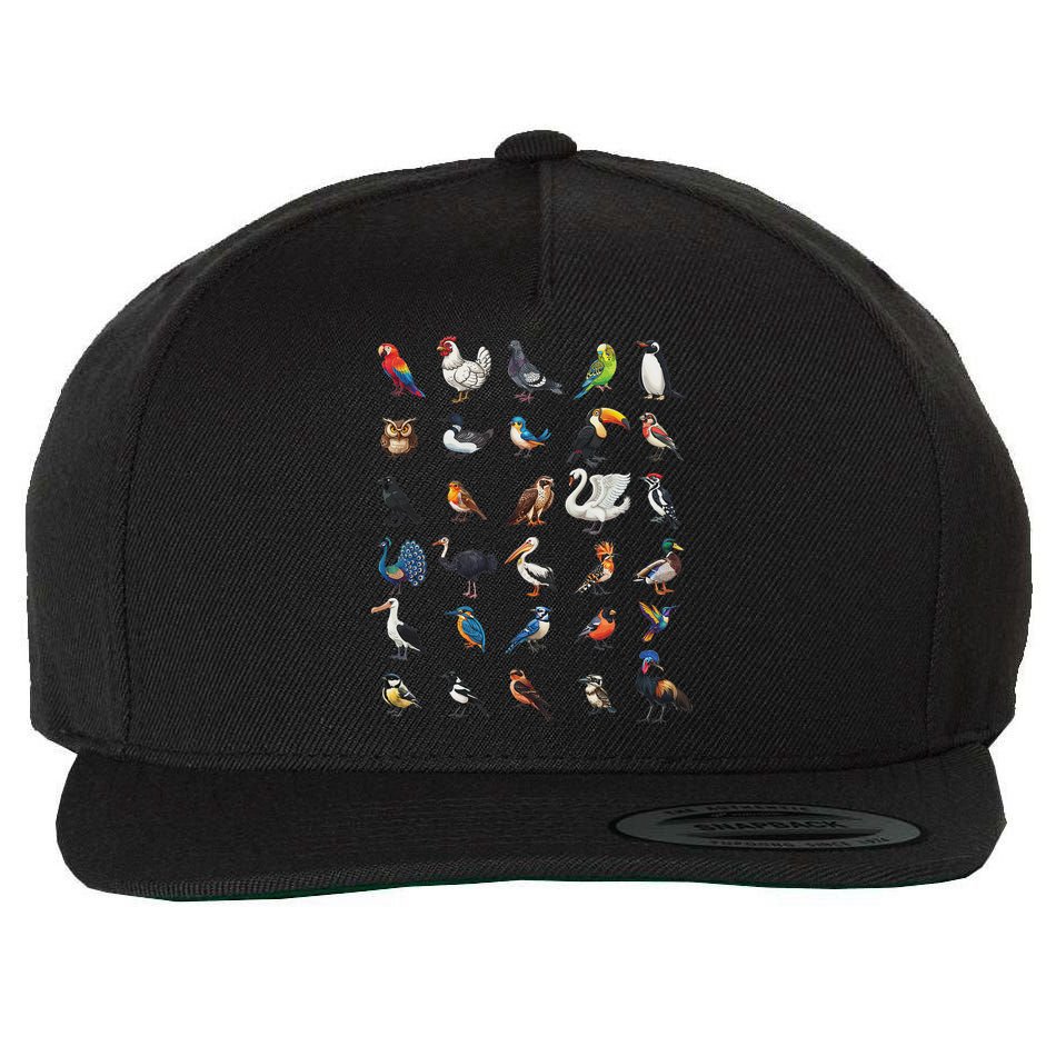 Types Of Birds Educational Wool Snapback Cap