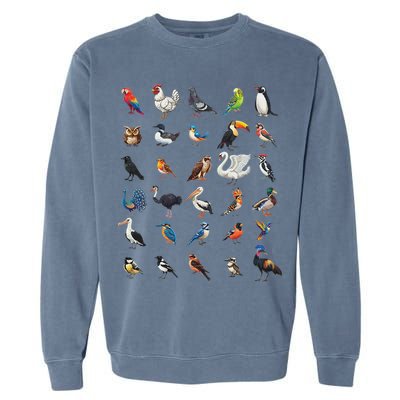Types Of Birds Educational Garment-Dyed Sweatshirt