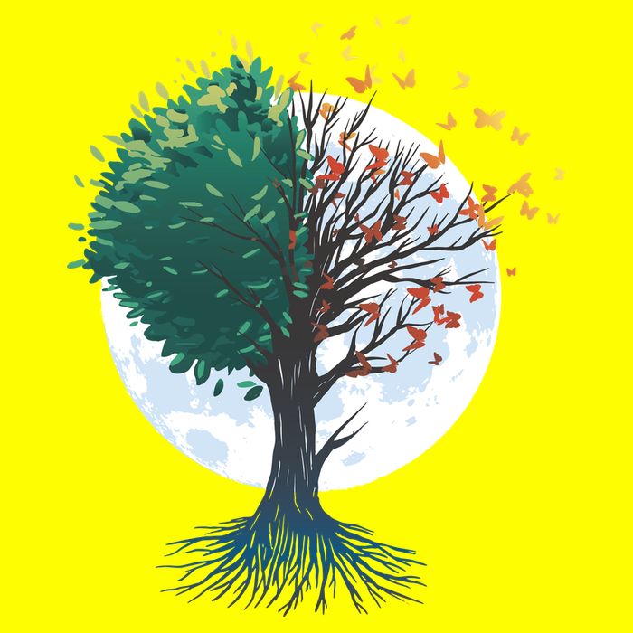 Tree Of Butterflies T-Shirt