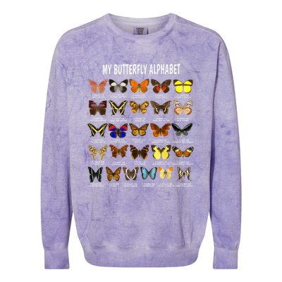 Types Of Butterflies Alphabet Abc Butterfly Identification Colorblast Crewneck Sweatshirt