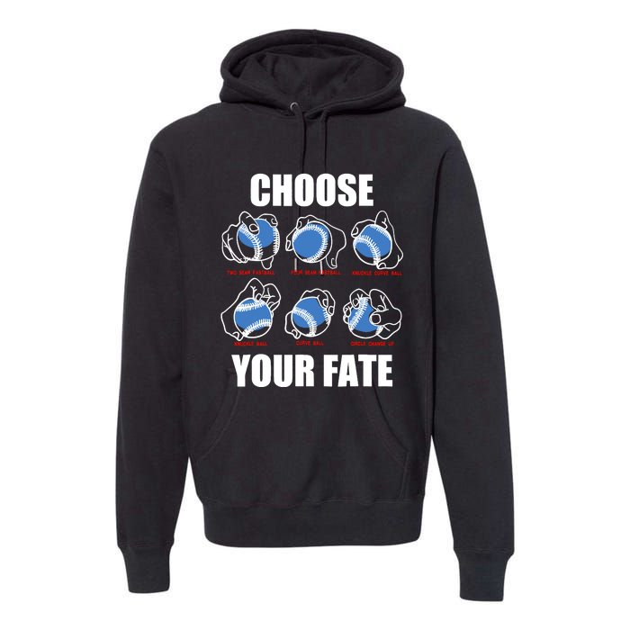 Types Of Baseball Pitches Choose Your Fate Gift For Pitcher Premium Hoodie