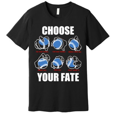 Types Of Baseball Pitches Choose Your Fate Gift For Pitcher Premium T-Shirt