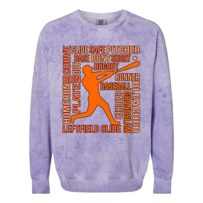 Types Of Baseball Players Sports Lover Coach Graphic Cute Gift Colorblast Crewneck Sweatshirt