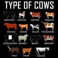 Types Of Cows Farmer Tee Costume Cow T-Shirt