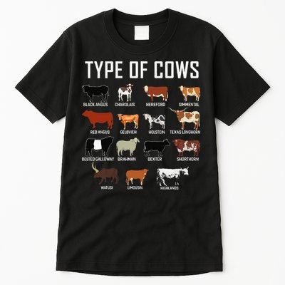 Types Of Cows Farmer Tee Costume Cow Tall T-Shirt