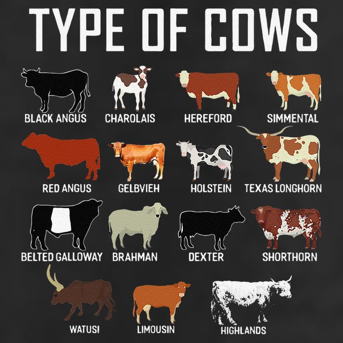 Types Of Cows Farmer Tee Costume Cow Tumbler