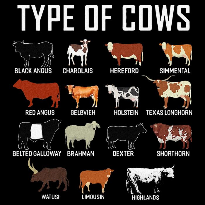 Types Of Cows Farmer Tee Costume Cow Poster