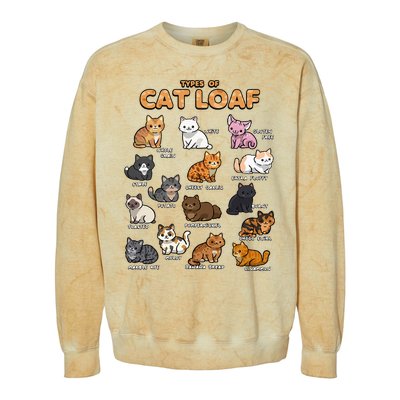 Types Of Cat Loaf Cute Kitten Kawaii Cats Colorblast Crewneck Sweatshirt