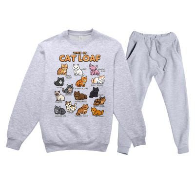 Types Of Cat Loaf Cute Kitten Kawaii Cats Premium Crewneck Sweatsuit Set