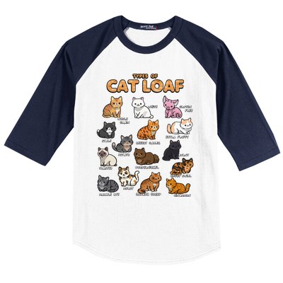 Types Of Cat Loaf Cute Kitten Kawaii Cats Baseball Sleeve Shirt