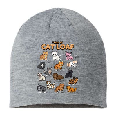 Types Of Cat Loaf Cute Kitten Kawaii Cats Sustainable Beanie