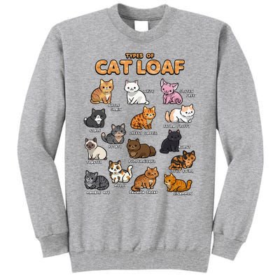 Types Of Cat Loaf Cute Kitten Kawaii Cats Tall Sweatshirt