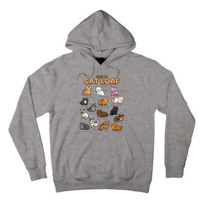 Types Of Cat Loaf Cute Kitten Kawaii Cats Tall Hoodie