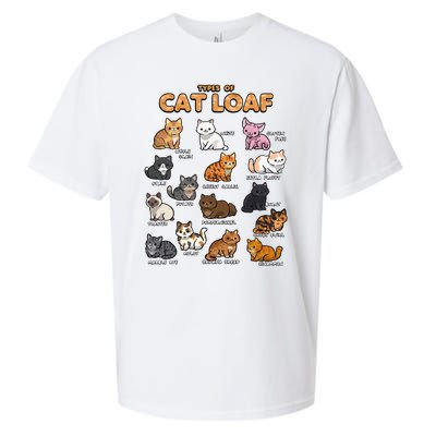 Types Of Cat Loaf Cute Kitten Kawaii Cats Sueded Cloud Jersey T-Shirt