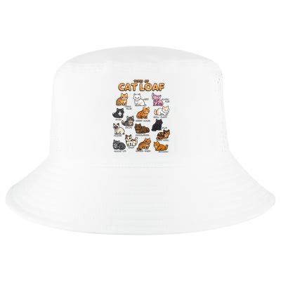 Types Of Cat Loaf Cute Kitten Kawaii Cats Cool Comfort Performance Bucket Hat