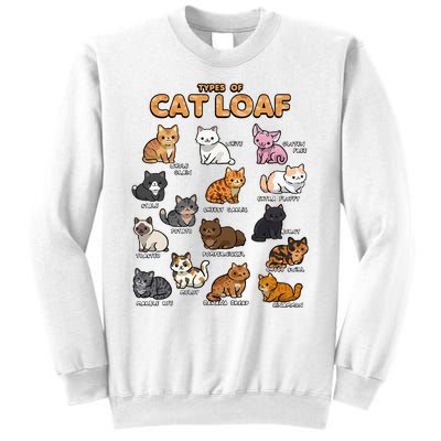 Types Of Cat Loaf Cute Kitten Kawaii Cats Sweatshirt