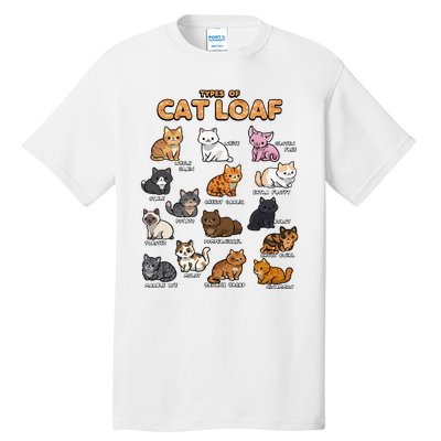 Types Of Cat Loaf Cute Kitten Kawaii Cats Tall T-Shirt