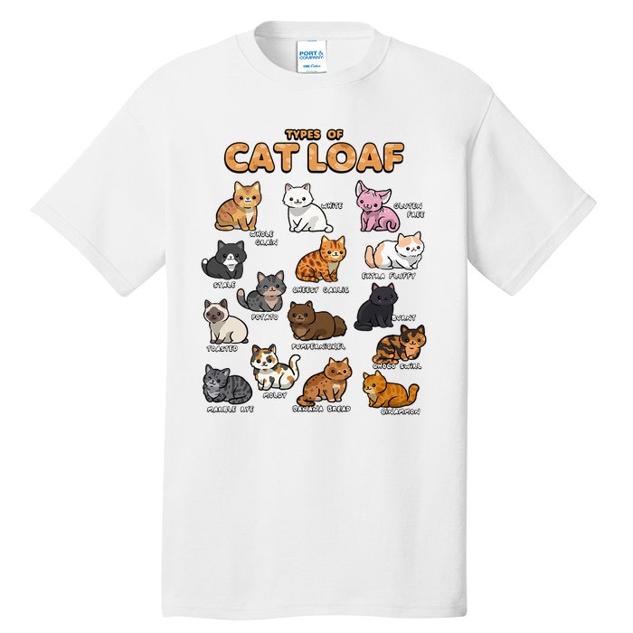 Types Of Cat Loaf Cute Kitten Kawaii Cats Tall T-Shirt