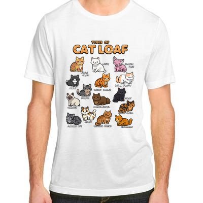 Types Of Cat Loaf Cute Kitten Kawaii Cats Adult ChromaSoft Performance T-Shirt