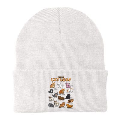 Types Of Cat Loaf Cute Kitten Kawaii Cats Beanie