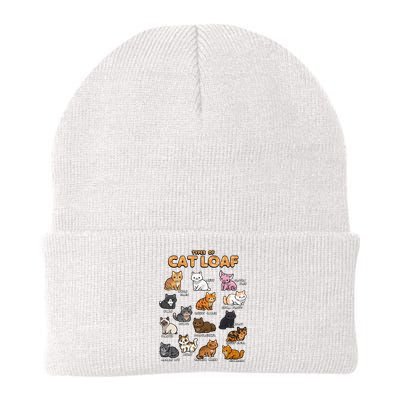 Types Of Cat Loaf Cute Kitten Kawaii Cats Knit Cap Winter Beanie