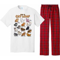 Types Of Cat Loaf Cute Kitten Kawaii Cats Pajama Set