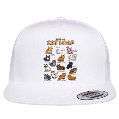 Types Of Cat Loaf Cute Kitten Kawaii Cats Flat Bill Trucker Hat