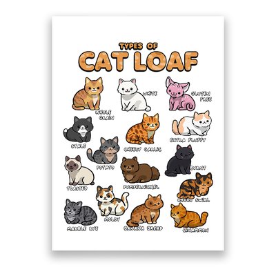 Types Of Cat Loaf Cute Kitten Kawaii Cats Poster