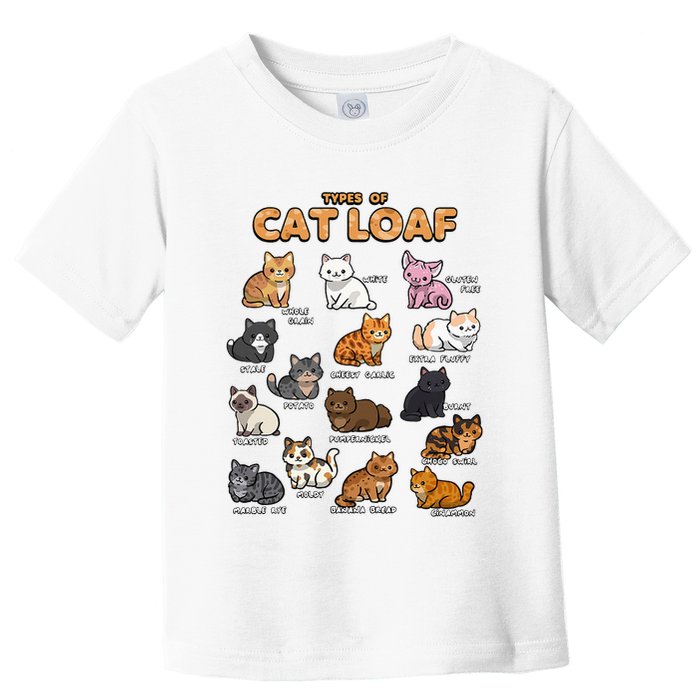 Types Of Cat Loaf Cute Kitten Kawaii Cats Toddler T-Shirt