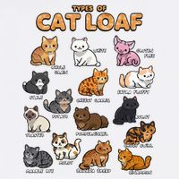Types Of Cat Loaf Cute Kitten Kawaii Cats Toddler T-Shirt