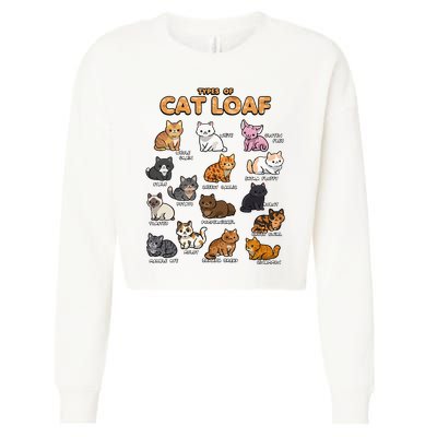 Types Of Cat Loaf Cute Kitten Kawaii Cats Cropped Pullover Crew