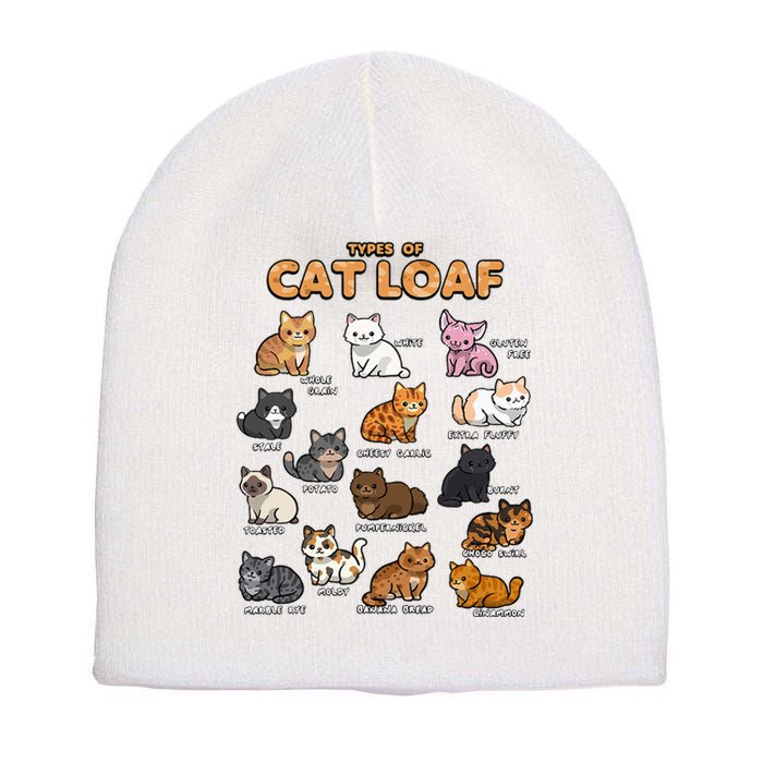 Types Of Cat Loaf Cute Kitten Kawaii Cats Short Acrylic Beanie