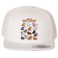 Types Of Cat Loaf Cute Kitten Kawaii Cats Wool Snapback Cap