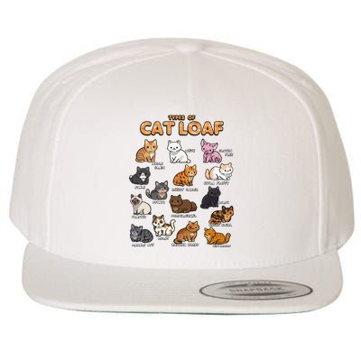 Types Of Cat Loaf Cute Kitten Kawaii Cats Wool Snapback Cap