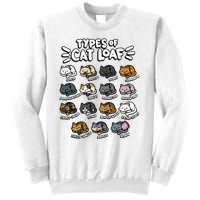 Types Of Cat Loaf Kitten Bread Lover Foodie Cute Pet Cat Sweatshirt