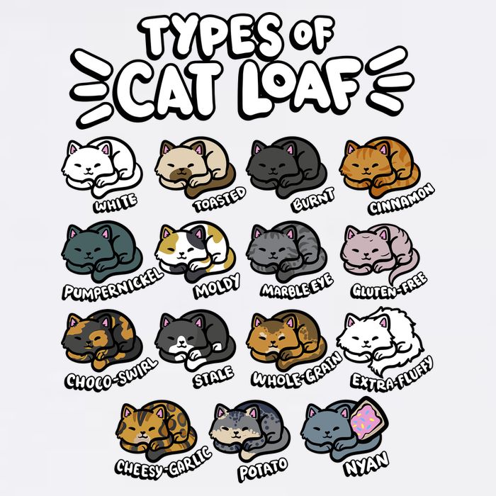 Types Of Cat Loaf Kitten Bread Lover Foodie Cute Pet Cat Sweatshirt