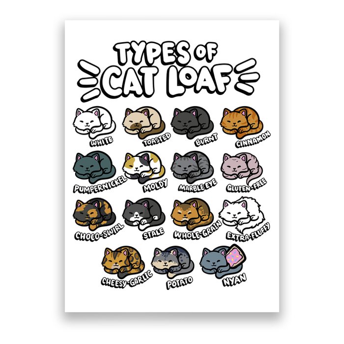 Types Of Cat Loaf Kitten Bread Lover Foodie Cute Pet Cat Poster