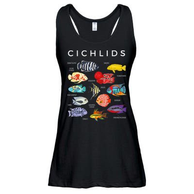 Types Of Cichlid Fish Species Cichlids Aquarium Ladies Essential Flowy Tank