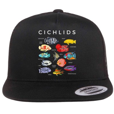 Types Of Cichlid Fish Species Cichlids Aquarium Flatbill Hat